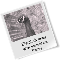 Ziemlich grau  (aber passend zum Thema)